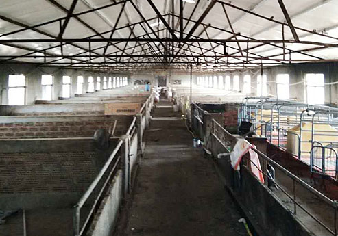 精鋼覆膜瓦案例之新沂養殖場